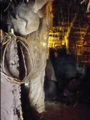 Museum08