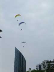 Lima29