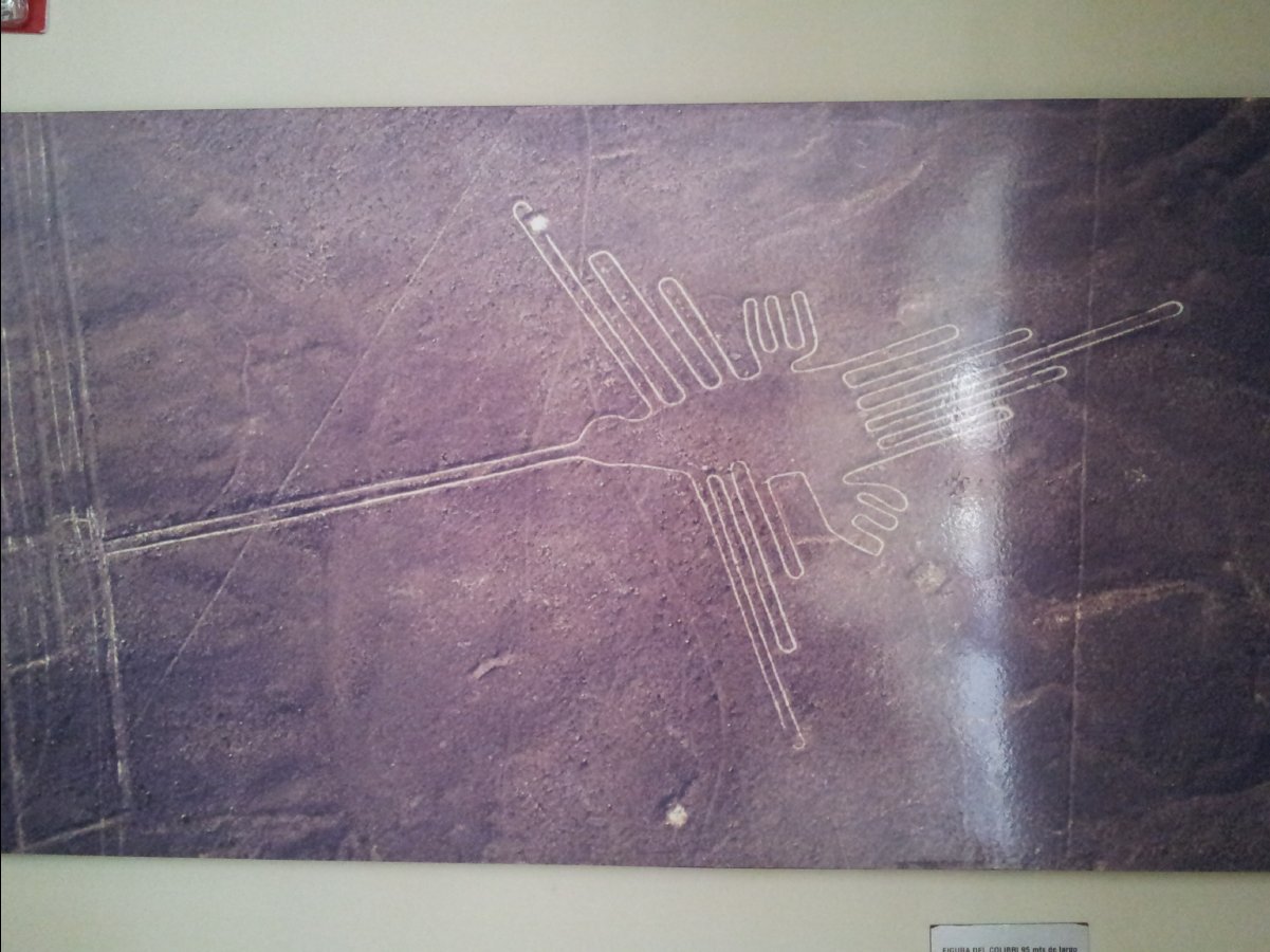 Nasca29