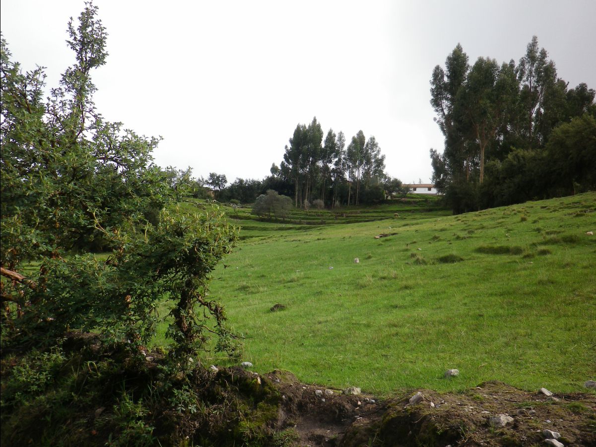 Q'enqo01
