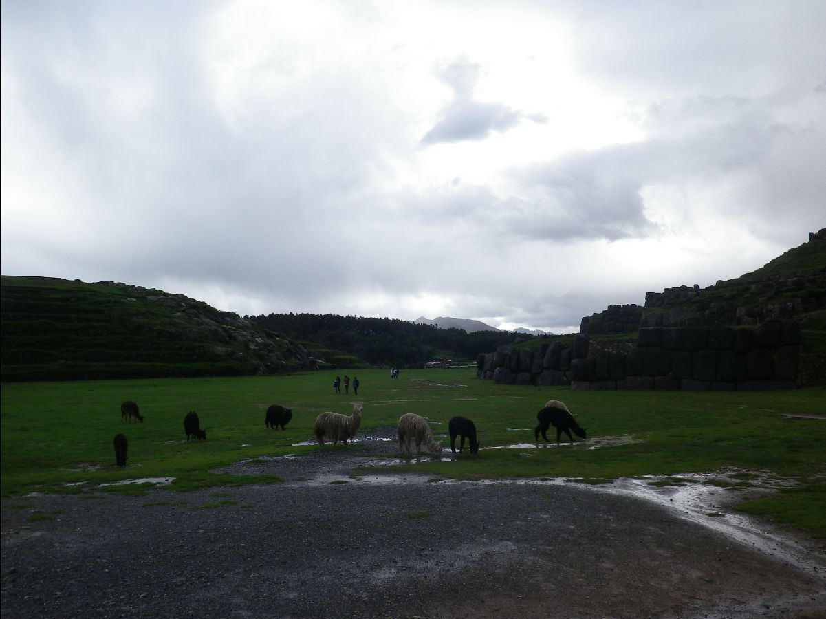 Saqsayhuamah03