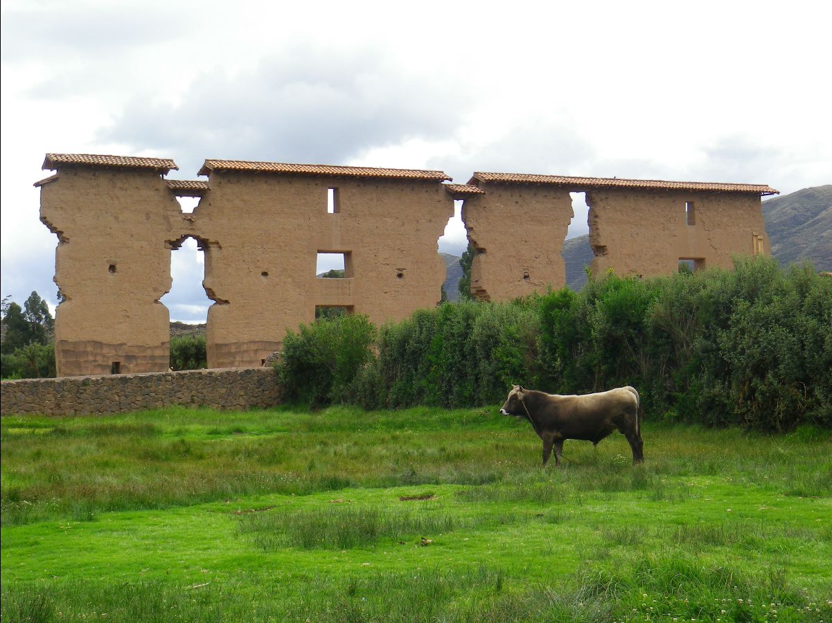 Raqchi01