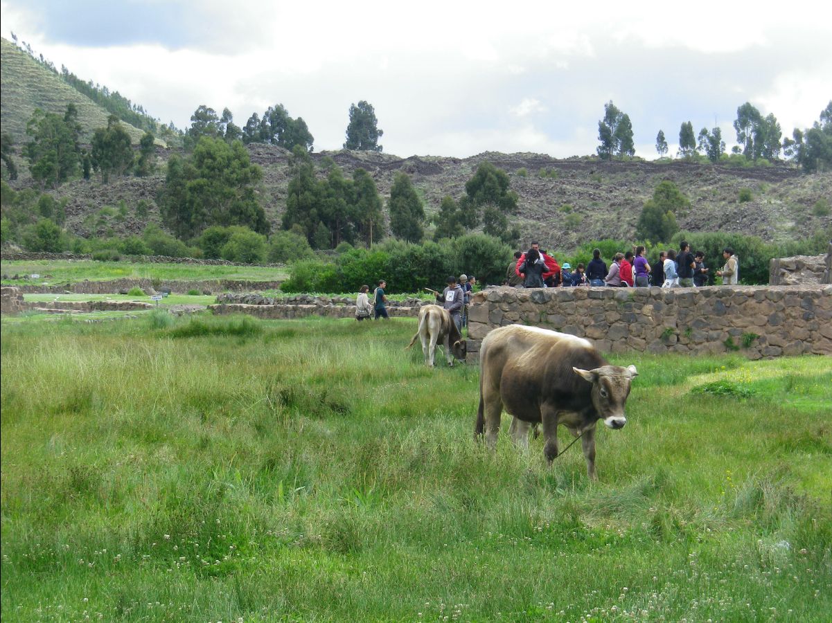 Raqchi02